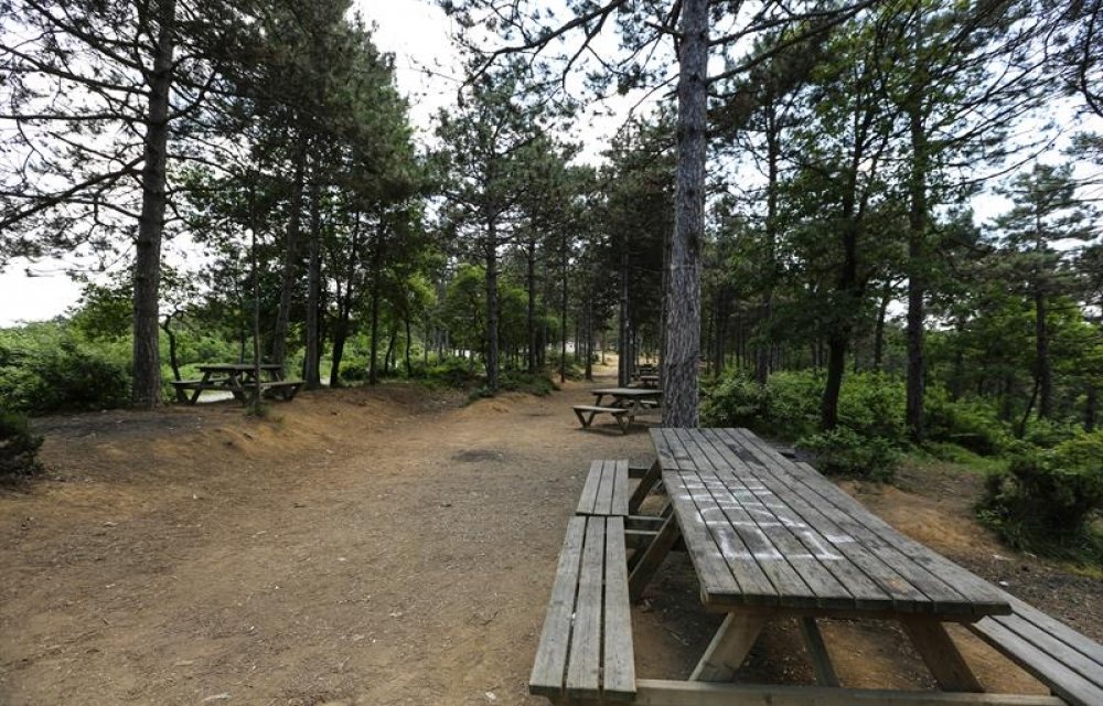 Boğazköy C Type Picnic Area