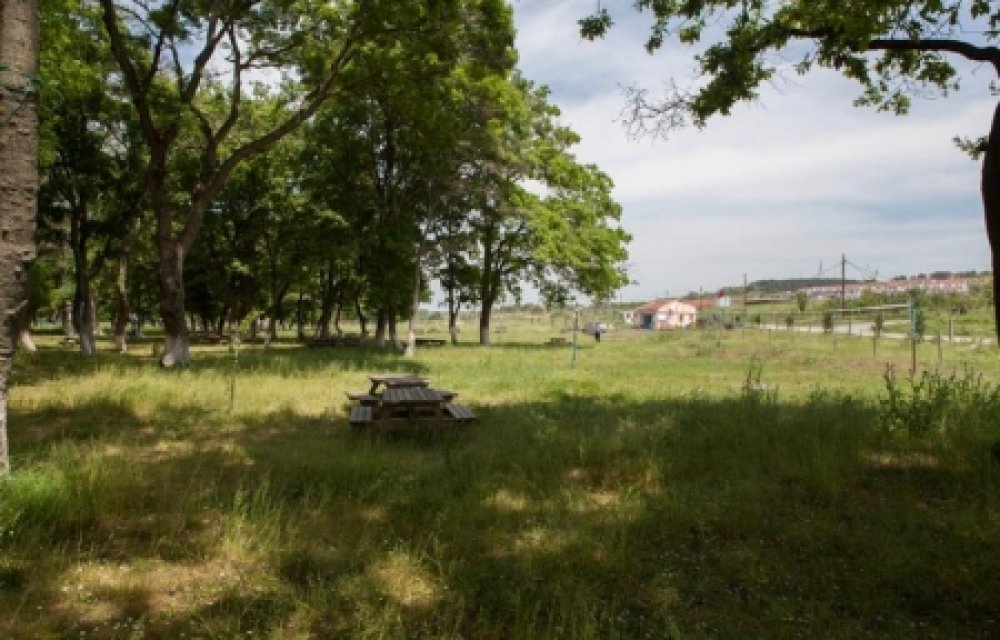 Bolluca Picnic Area