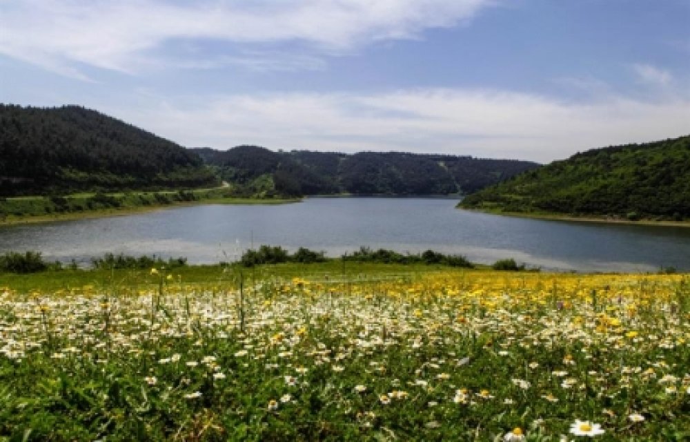 Hacımaşlı Picnic Area