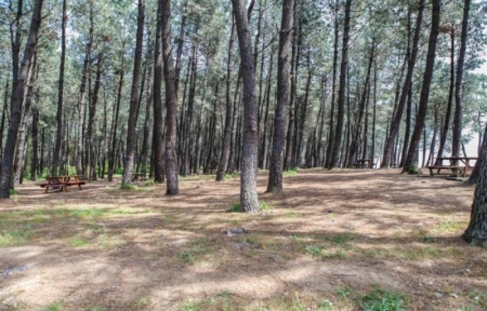 Taşoluk Picnic Area