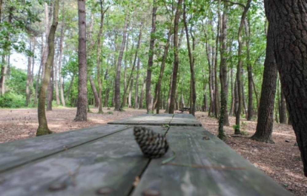 Tayakadın Picnic Area 01