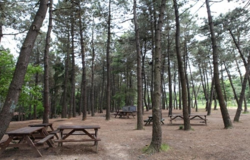 Tayakadın Picnic Area 02