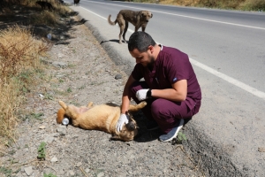 Arnavutköy Belediyesi