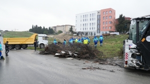 Arnavutköy Belediyesi