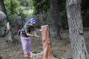 Arnavutköy Belediyesi