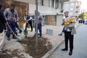 Arnavutköy Belediyesi